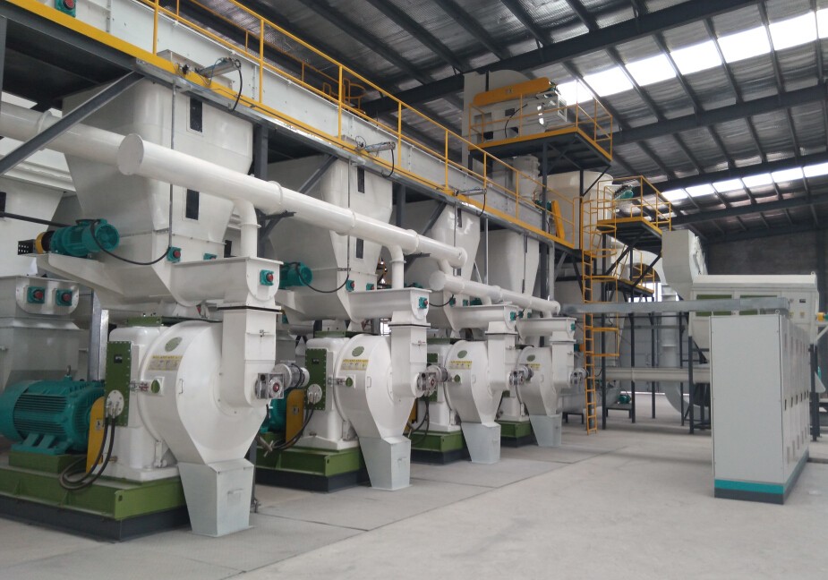 10T/H Turnkey Pellet Line